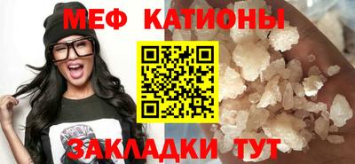 прущие грибы Гатчина