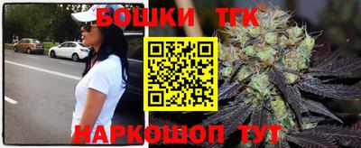 прущие грибы Гатчина