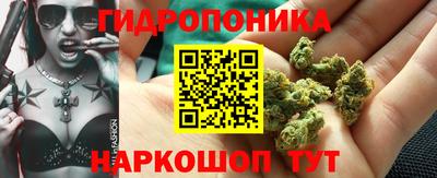 винт Гай