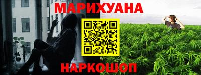 прущие грибы Гатчина