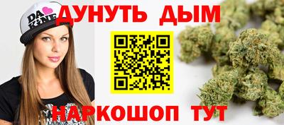 прущие грибы Гатчина